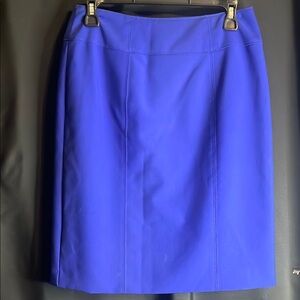 NWOT Sz 6 Blue Women's Skirt